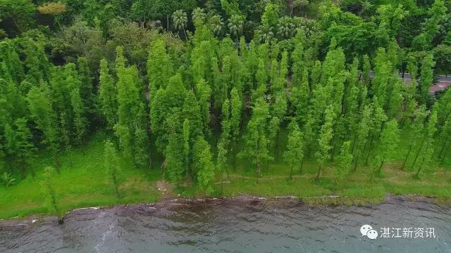 蓝天白云湖面碧波荡漾天然氧吧,湖光岩大自然天然氧吧