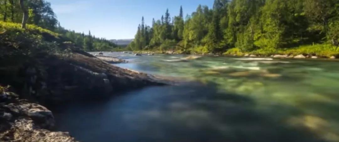 抖音kol速成攻略,抖音剪辑视频教学卡点pr