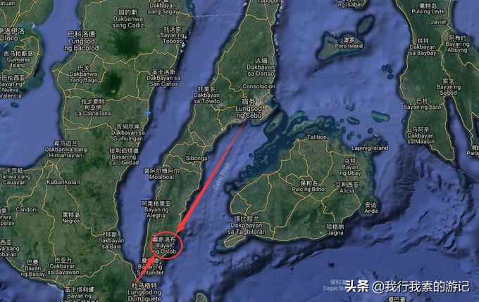 想去看鲸鲨？这里可以满足你