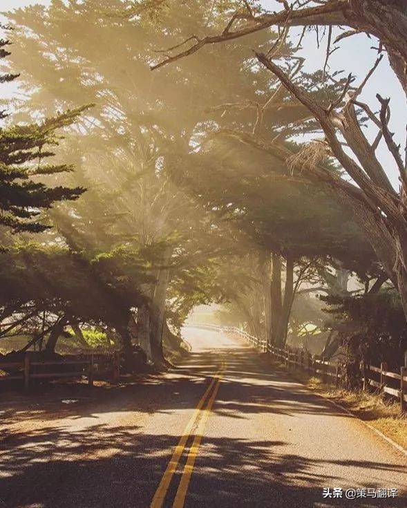 在蒙特雷工作生活,在世界顶级大学上学什么感受