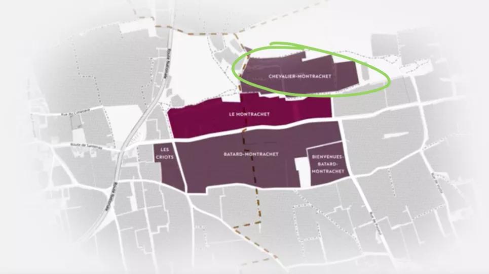 世纪佳酿百年老窖,世纪佳酿42度