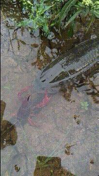 “你太低估了我的脚气，不知道还有没有救？”年轻总要付出代价