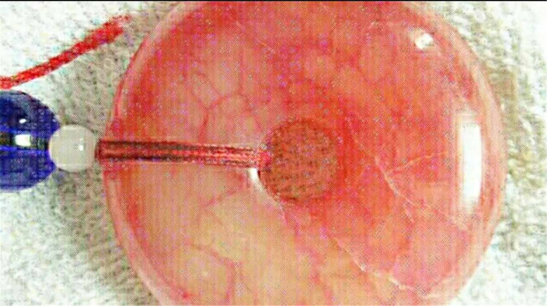 文物贩子把玉塞到羊身上,文物贩子把玉石塞到活羊身上