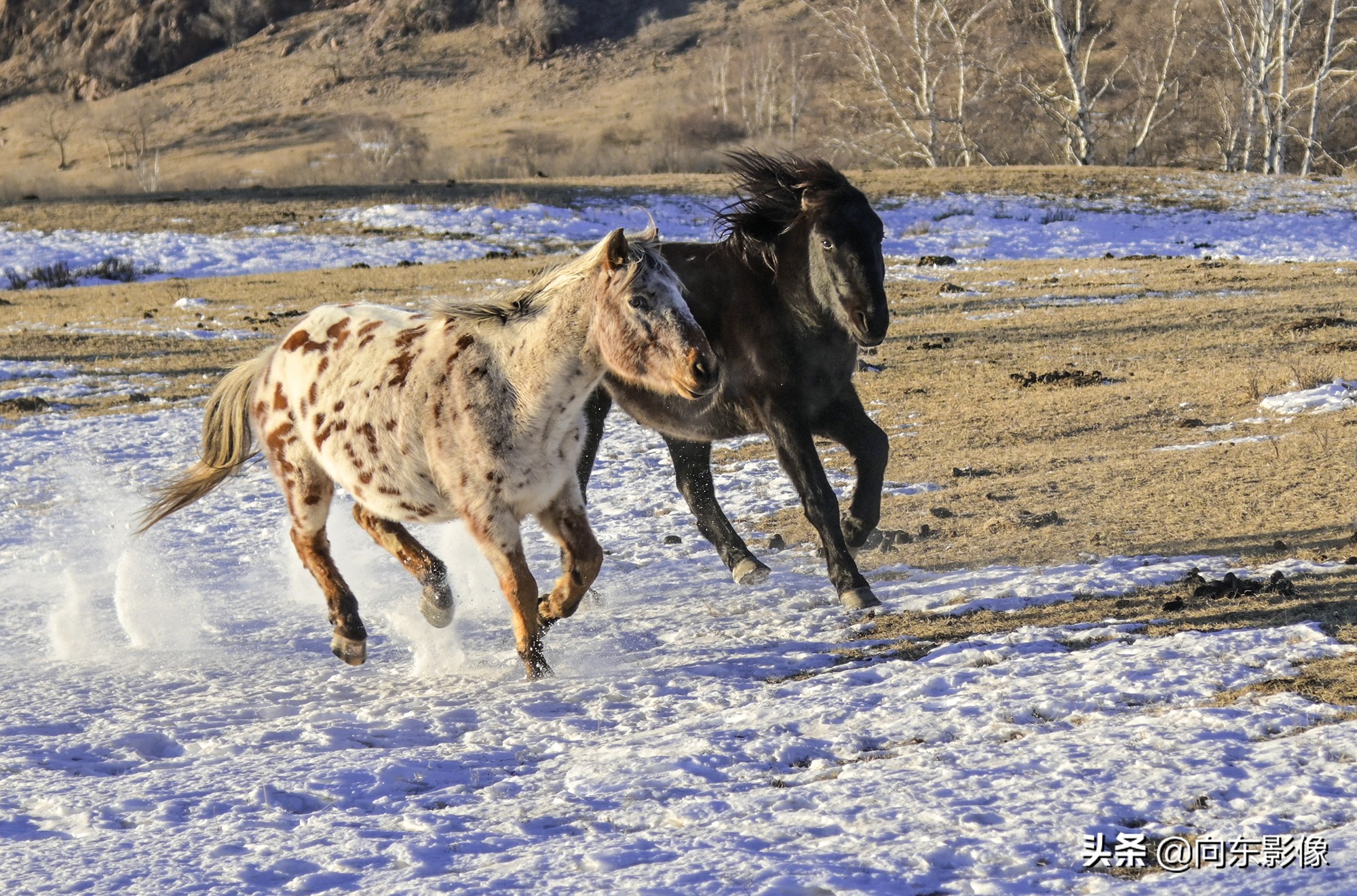 尼康z7一代高感,尼康z7ii4k60p是超采样吗