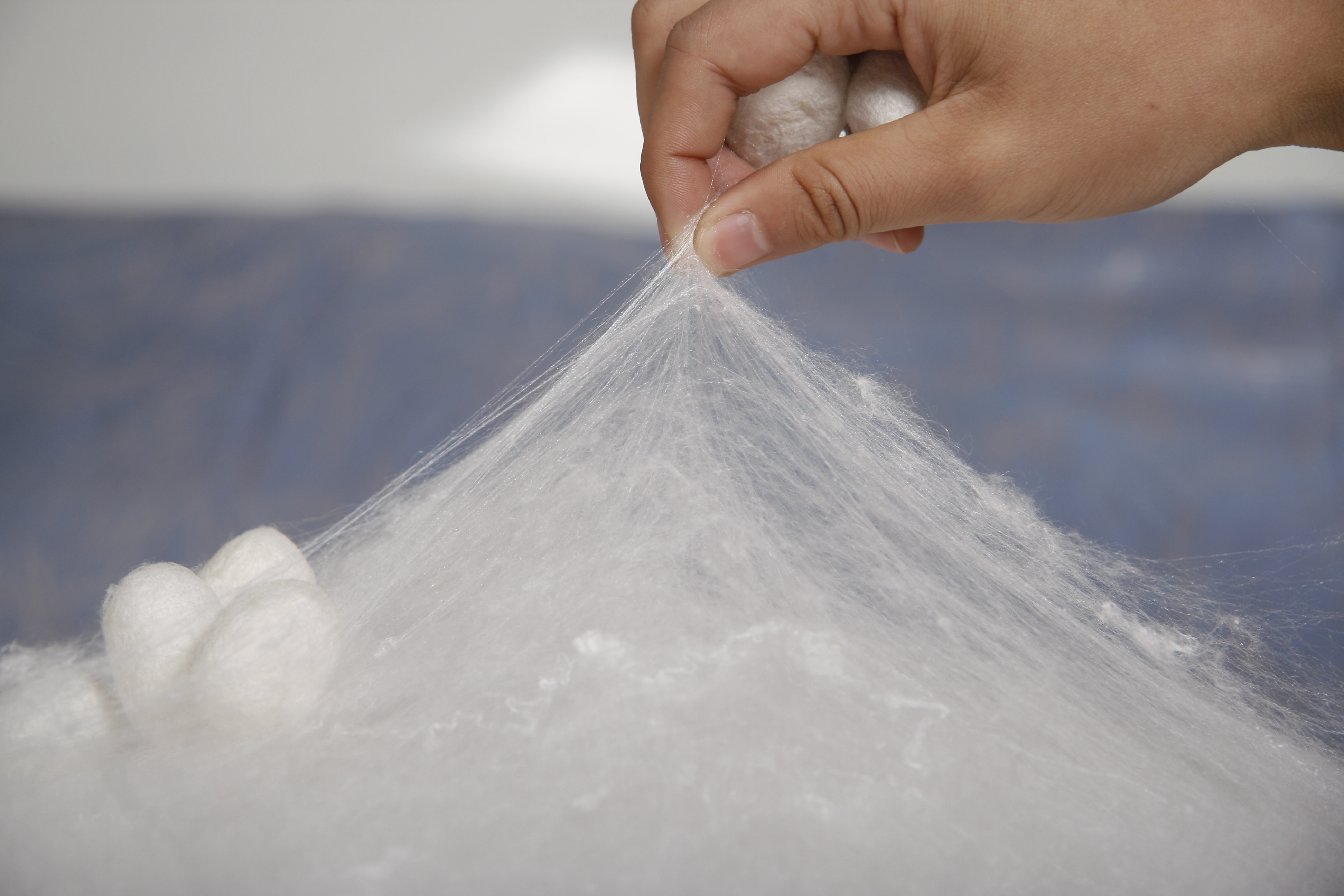 10多年的蚕丝被现如今如何处理,蚕丝被盖着不暖了