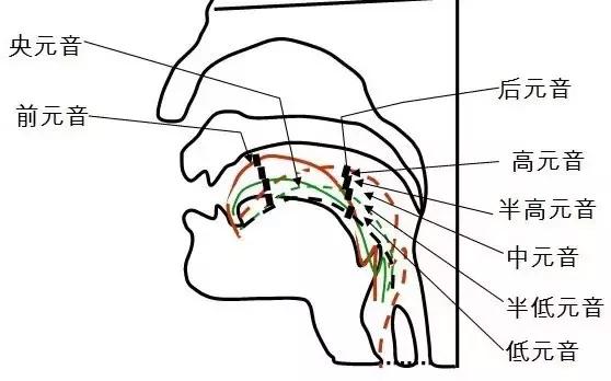 英语零基础学音标速成2,1-6年级英语1600个单词带音标