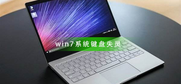 win7进桌面键盘失效,安装win7鼠标键盘失灵