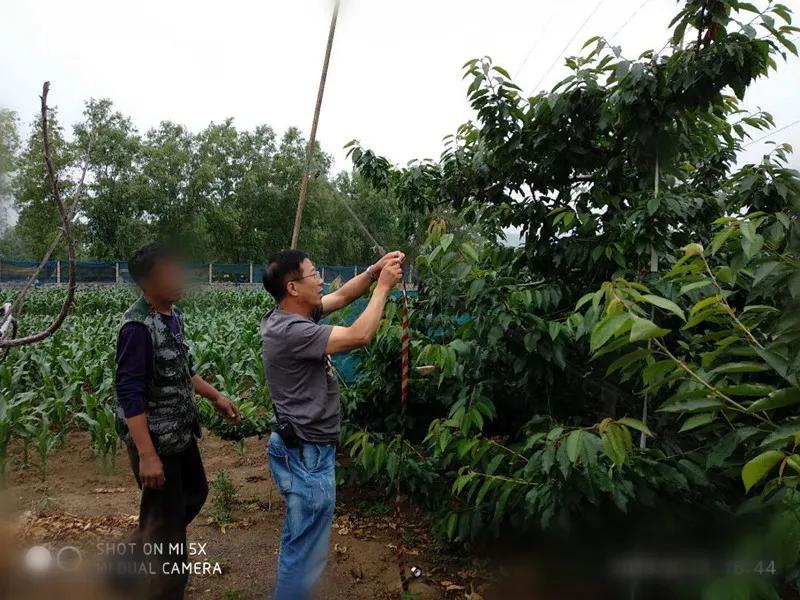 致敬大连社区志愿者,大连护鸟志愿者图片