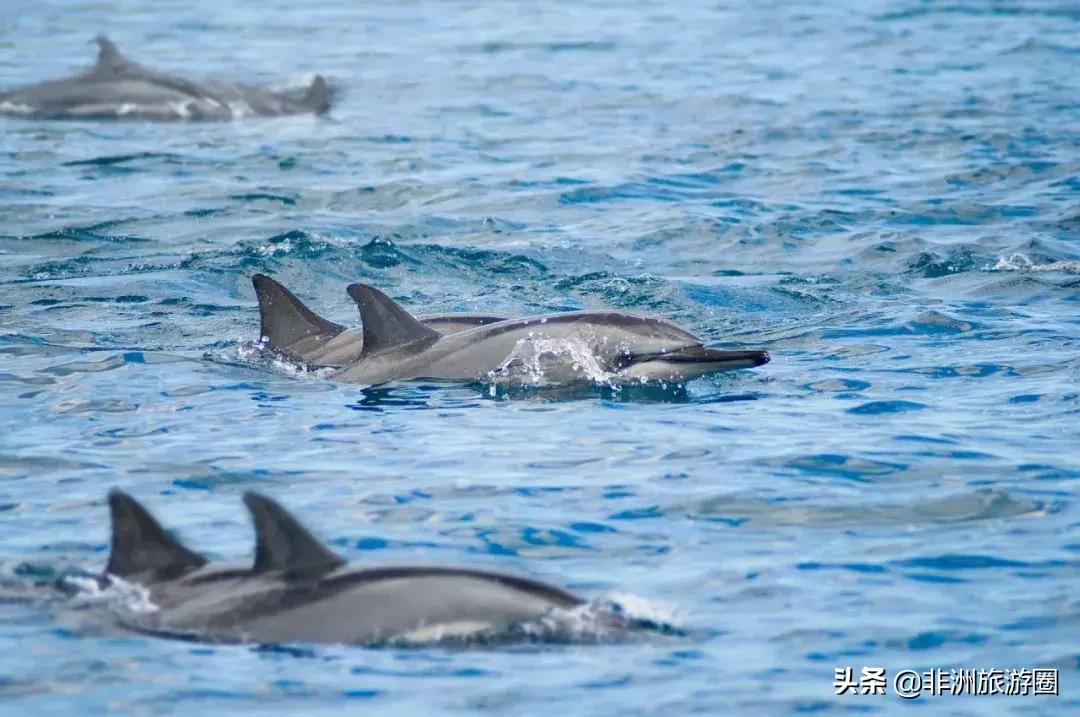 适合夏天去的免签海岛,4个免签的绝美海岛