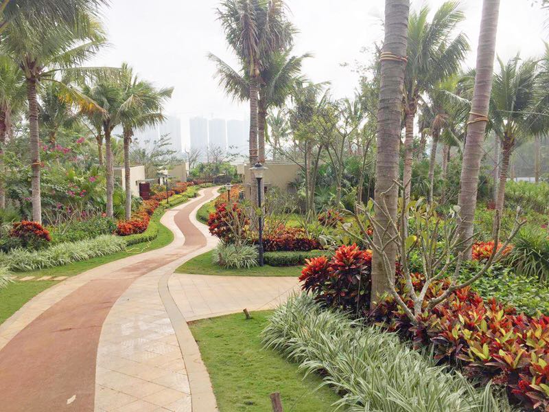 海南省临高县汇泽蓝海湾小区房价,海南汇泽蓝海湾户型图