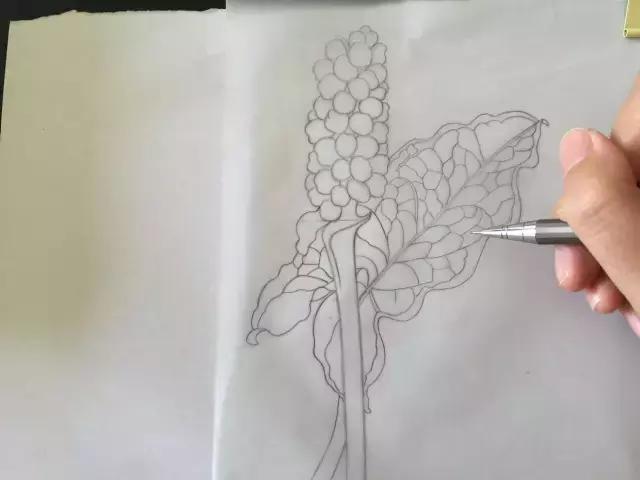 水彩密密麻麻的树叶怎么画,水彩画教程入门叶子