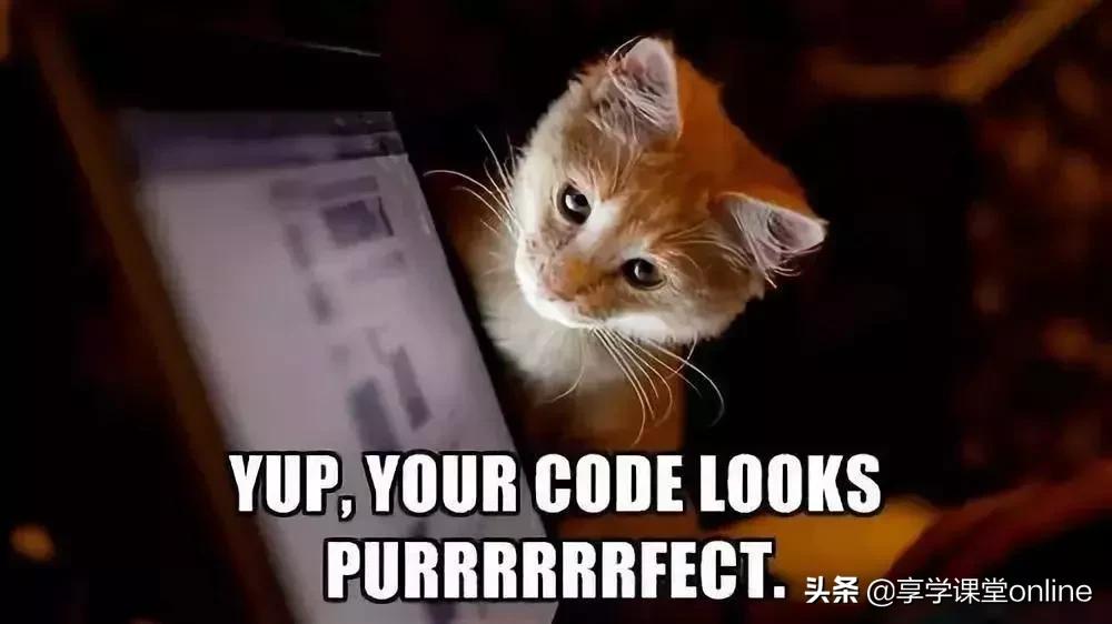 程序员养狗好还是养猫好,为什么程序员不能没有猫