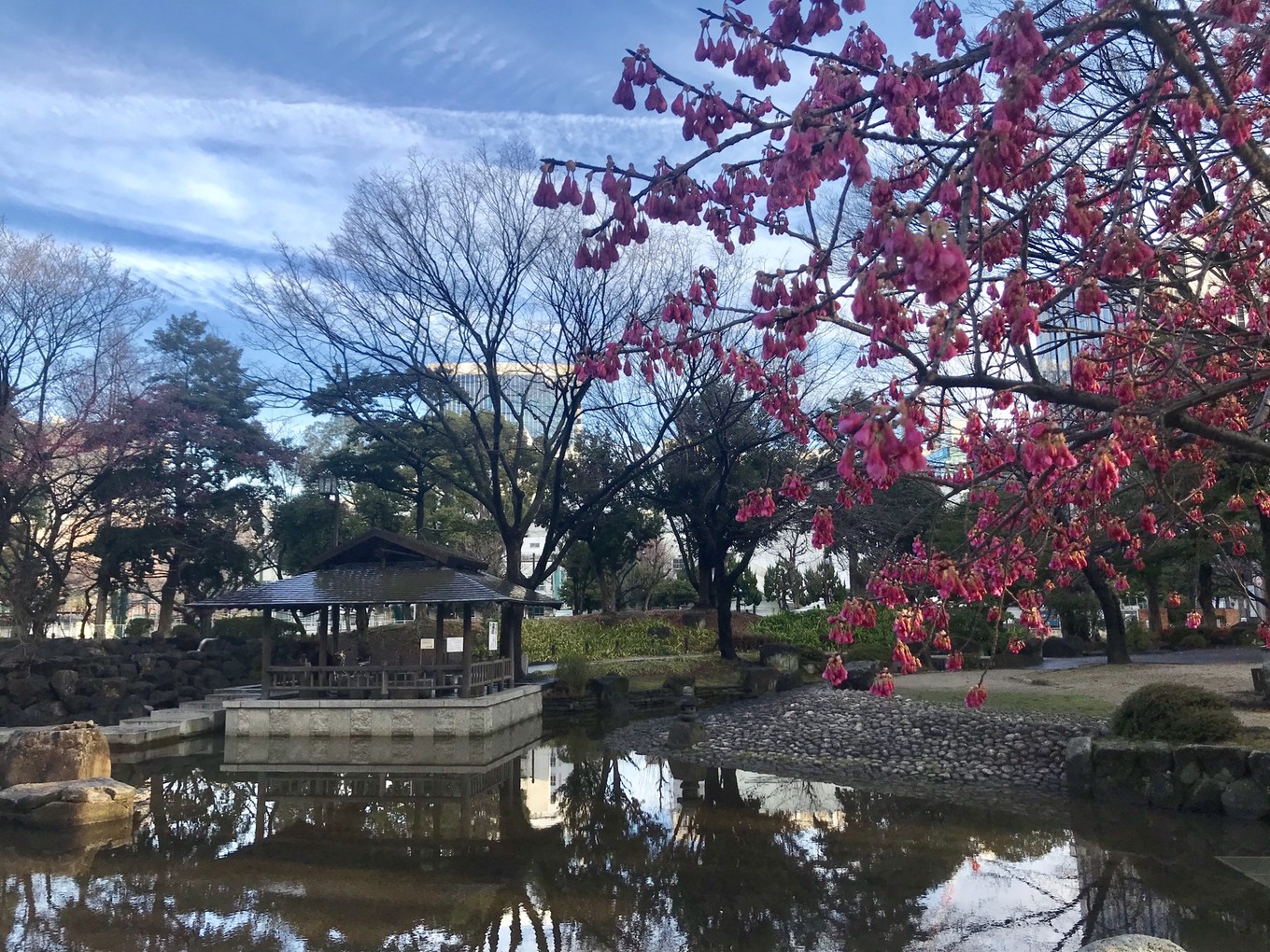 青春18旅游通票怎么买,坐jr游日本