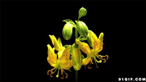 产后盆底肌松弛怎么办？医生分享：孕期产后都可做的盆底肌训练