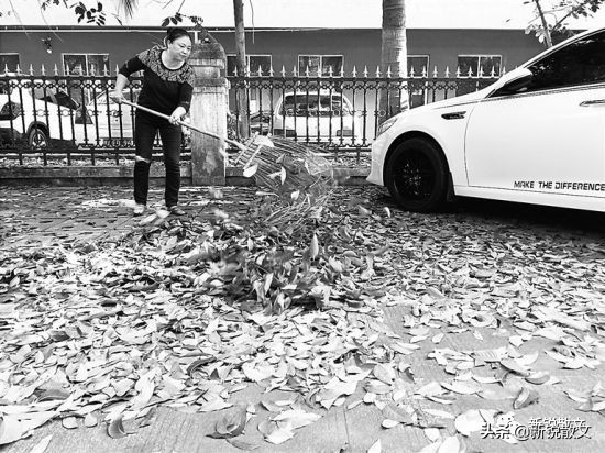 故事：院子里的清洁工，两个中年妇女，一个年轻姑娘，下班后反差巨大