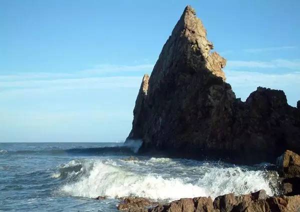 佛山顺德四小虎,四小虎之一顺德