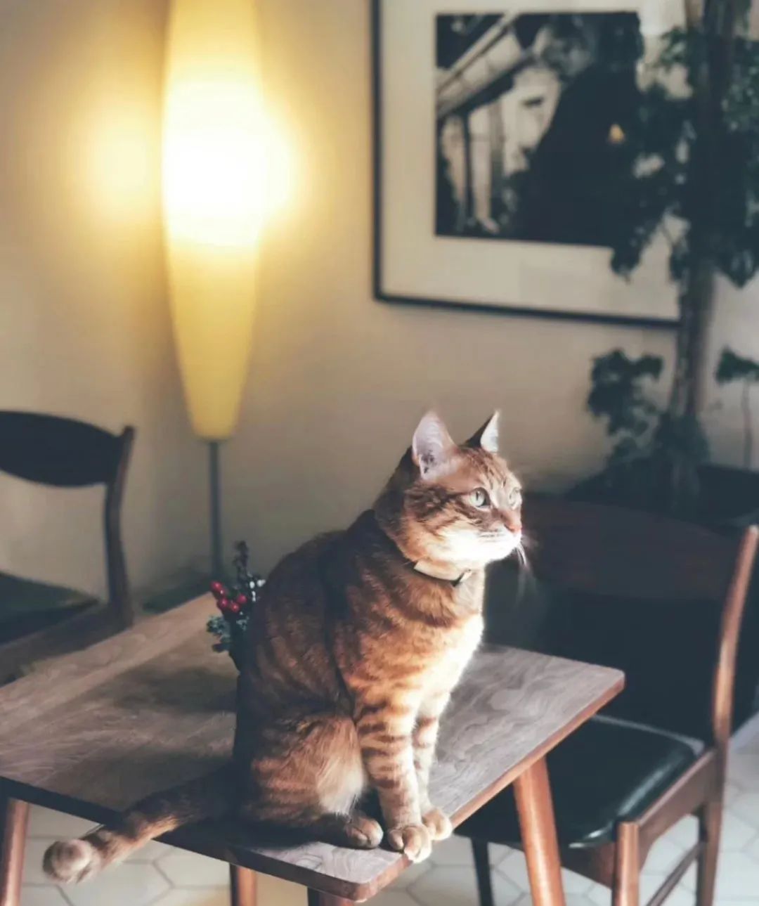 最适合打卡的上海咖啡厅,上海有情调的咖啡店