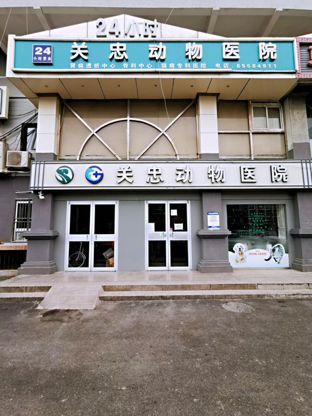 瑞派宠物医院告诉你最牛医院的正确打开方式