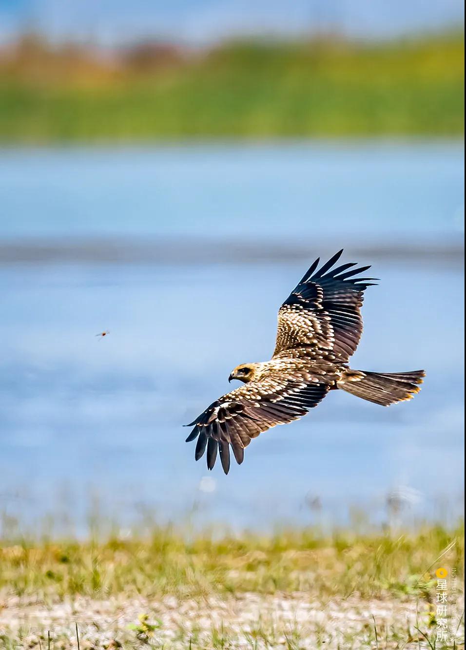 林草领域知识图谱,林草科普专业术语