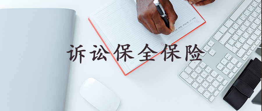 诉前网上保全申请书,诉前保全查控申请书