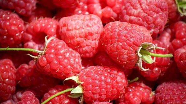 沈阳的特产排名前十名,辽宁沈阳特产什么最出名