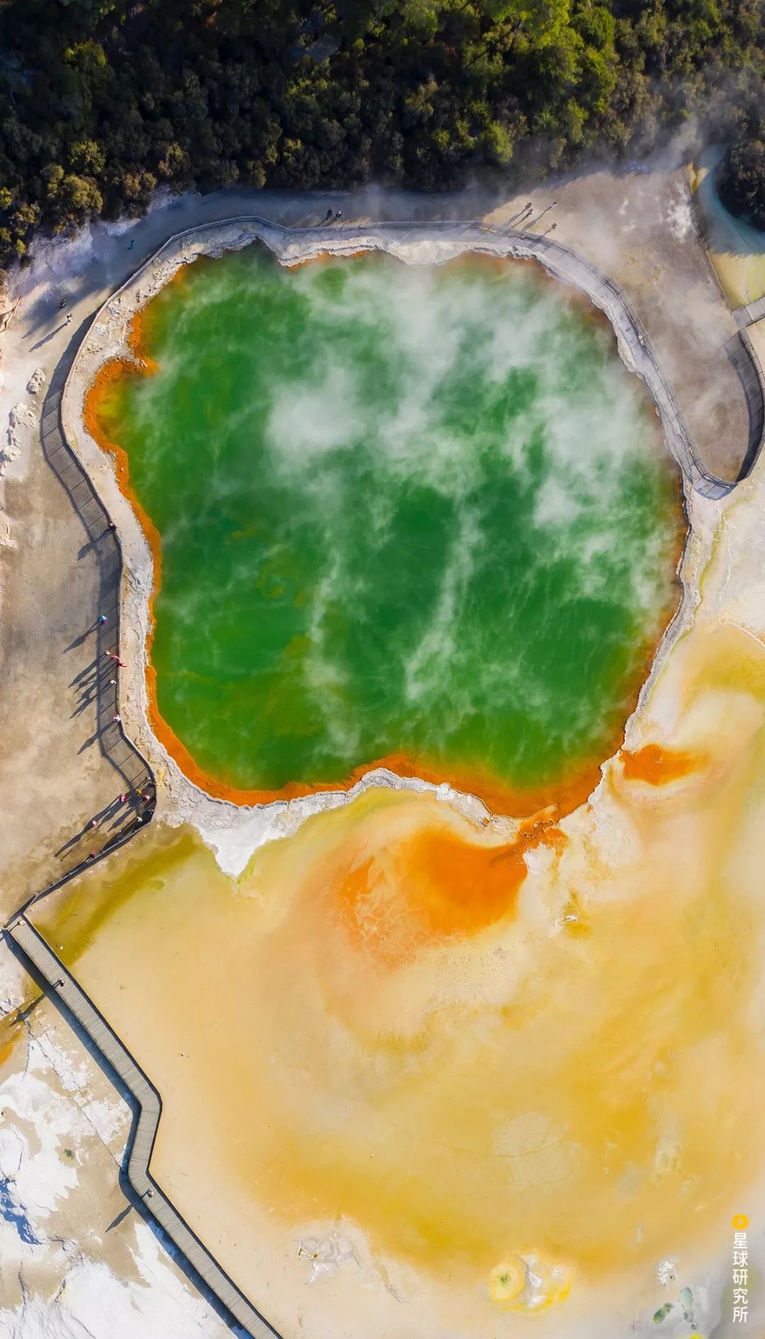 新西兰为什么那么发达,新西兰为什么这么牛