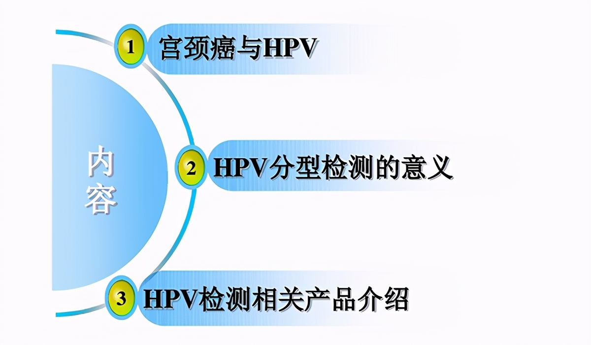 为什么洁身自好还得hpv16,洁身自好为啥会hpv感染