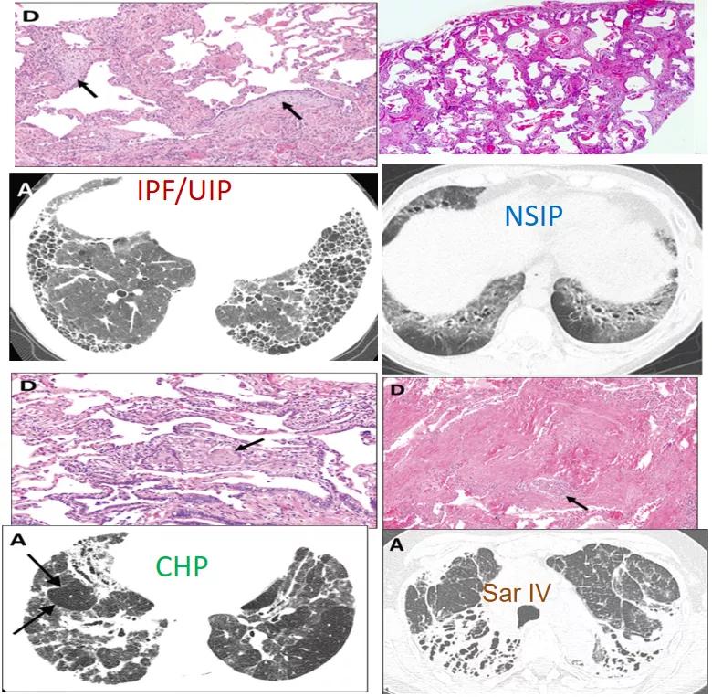 代华平视频,中日友好医院代华平