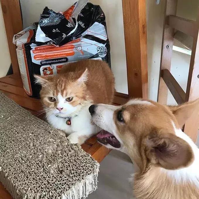 国外真人服装店模特,美国服装模特