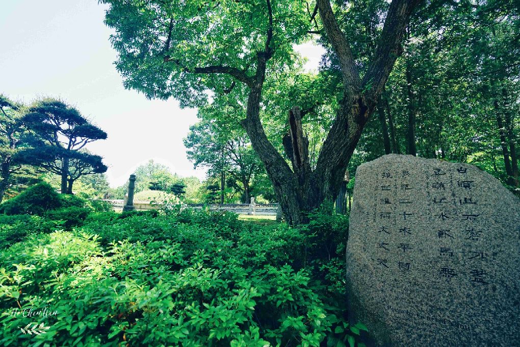 49张照片告诉你韩国与众不同,50张照片让你了解韩国