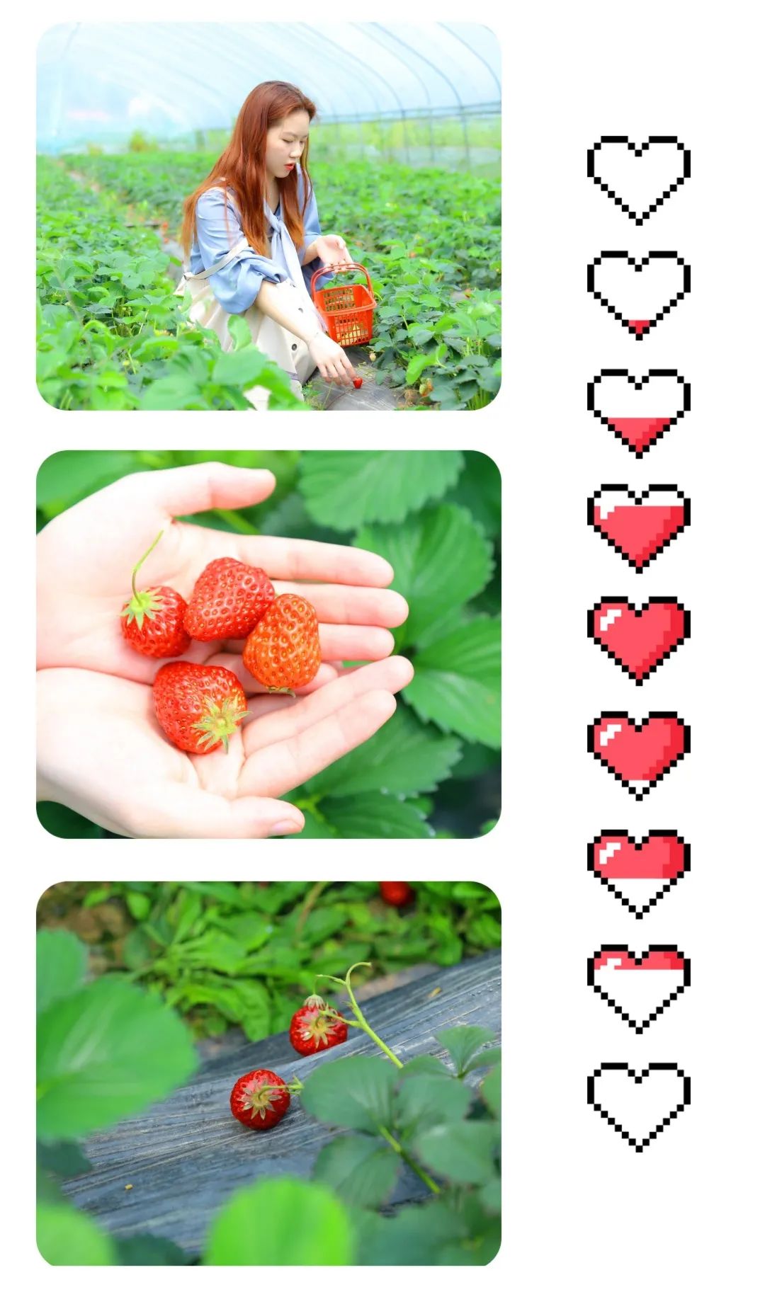 湖南山谷民宿推荐,竹林民宿推荐