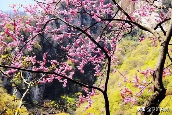 观察|均价8500+，西安半小时经济圈内鄠邑区凭什么房价这么高？