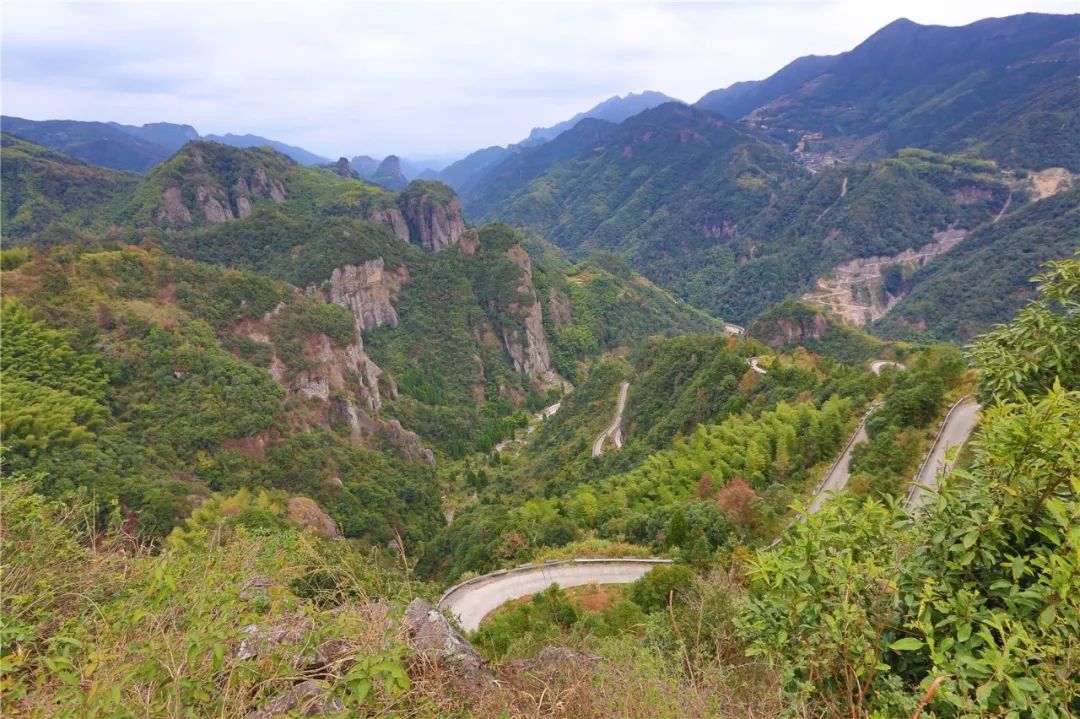 惊艳的一处桃源,乐清秘境原始森林