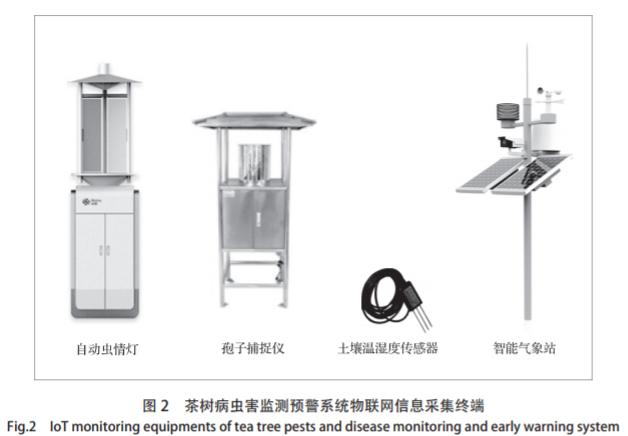 茶树病虫害防治研究专家,智能茶树病虫防治
