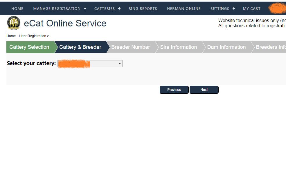 花重金买猫,花高价买的猫