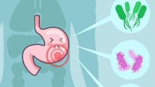 新四联抗幽——“我”的自述