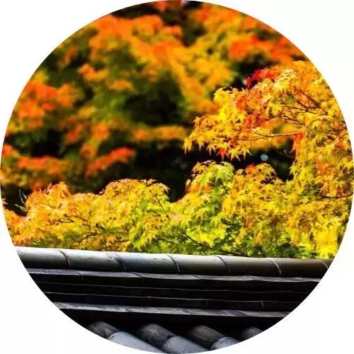 口吃绕口令100首,口吃绕口令大全