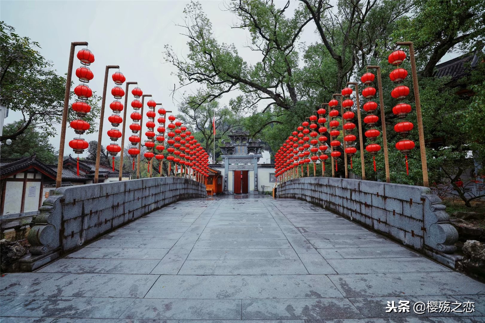 爱情线和智慧线是哪一条,哪一条是感情线和智慧线