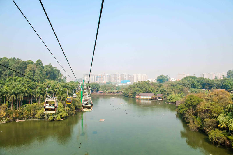 玩转广州长隆野生动物世界之行,广州长隆动物世界游玩攻略图