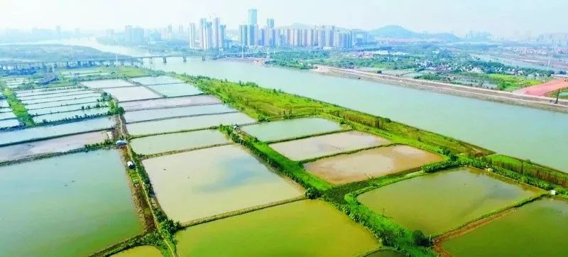 看龙舟提前感受端午的气息,端午玩龙舟可以这样玩