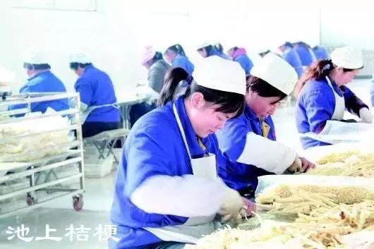 你好!我叫博山,这是我的简历......,转自博山微生活)