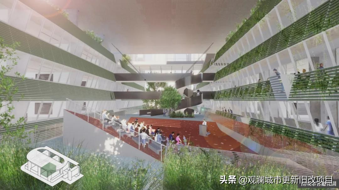 罗湖引入顶级学校,深圳罗湖高级学校