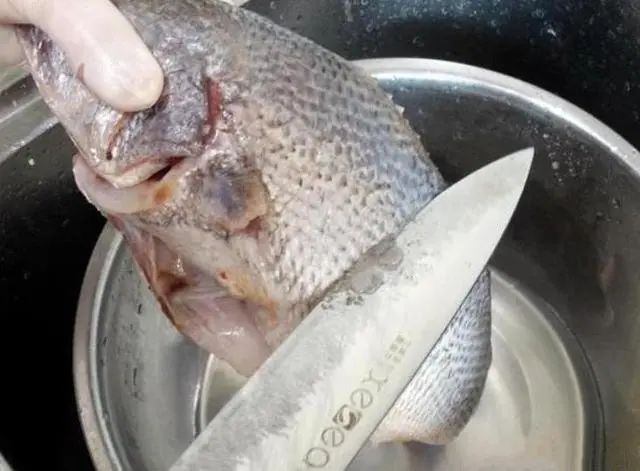 清蒸鱼先放酱油还是先放盐,清蒸鱼放酱油的诀窍