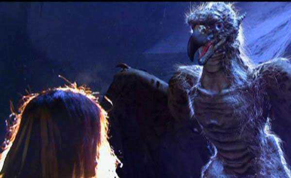 各版神雕侠侣中的大雕,神雕里面的雕结局