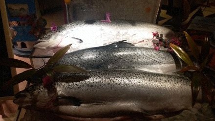 日航酒店的自助午餐好吗,日航午餐自助