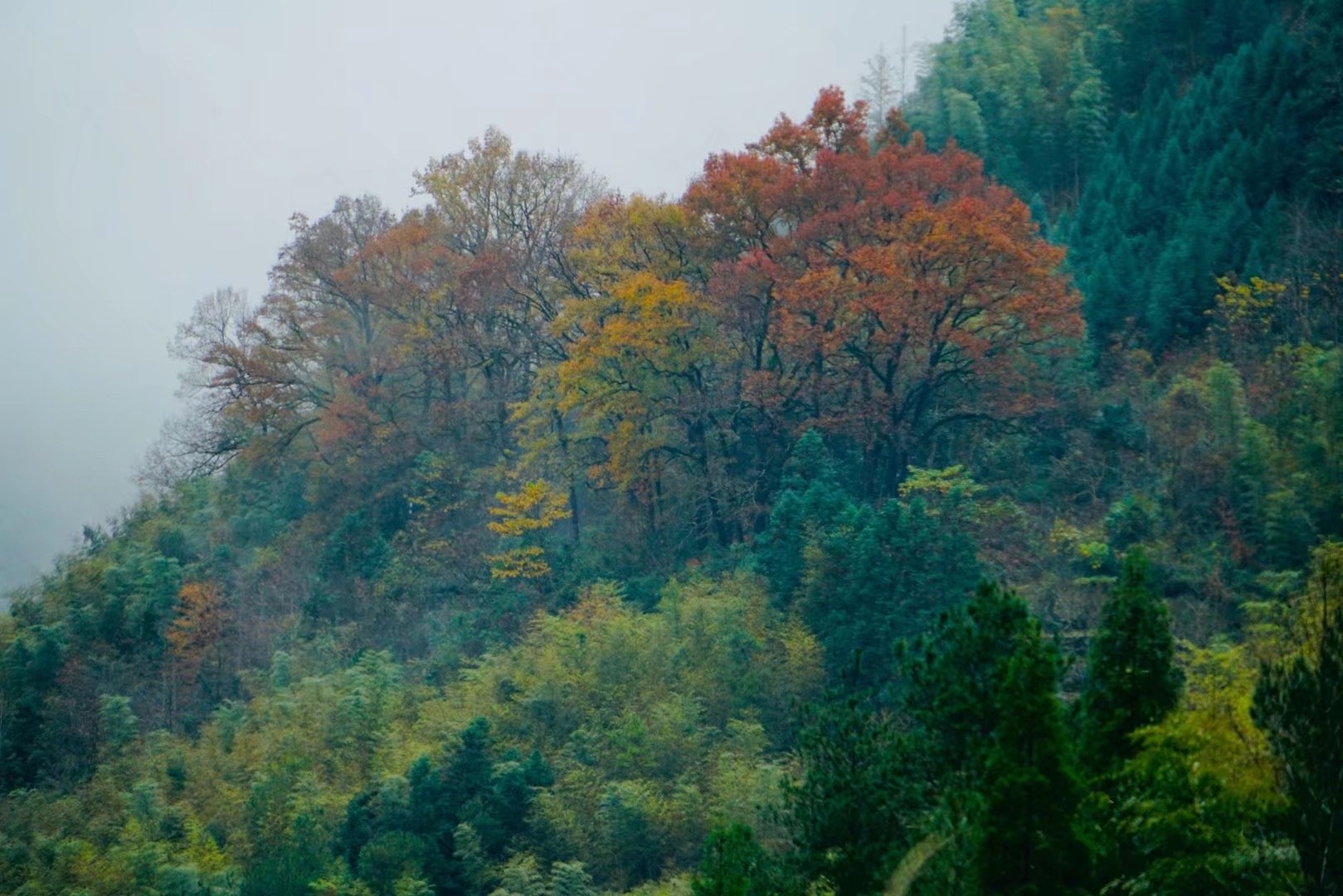 温州市红色旅游景点,温州最火的旅游区景点