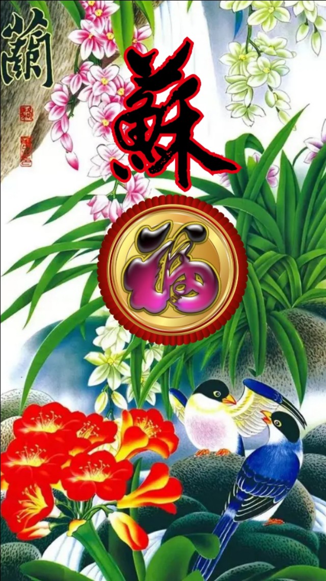 精美兰花壁纸图,兰花高贵壁纸