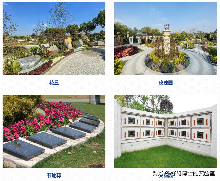 卖墓地到底有多暴利,墓地一般卖多少钱