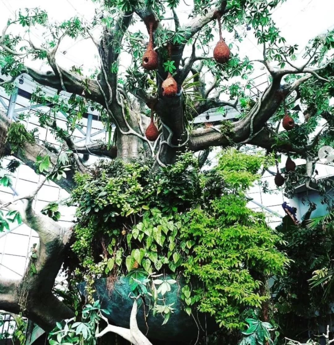 迪拜自由行攻略及小tips,去迪拜旅游前的准备攻略