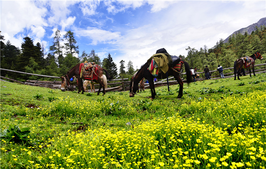 宜宾川藏线,宜宾自驾俱乐部参团西藏游